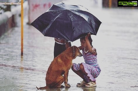 Kay Kay Menon Instagram - Often in a calamity, the most faithful are the most neglected! Thankfully a child's innocence always recognises it! #MumbaiRains #BeKindToAnimals #makeadifference