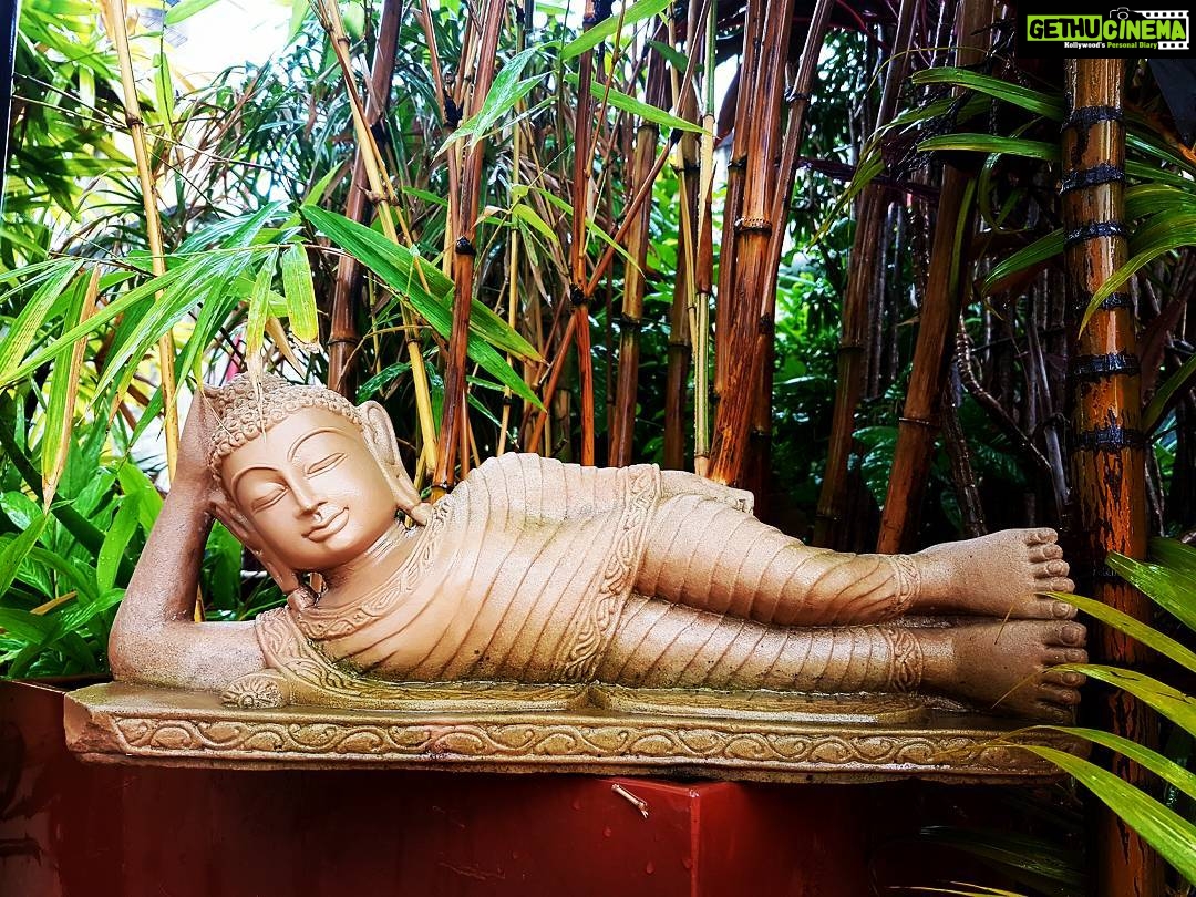 Kay Kay Menon Instagram - He totally represents my sentiments on this rainy sunday morning! But work beckons!😊 #actorslife #mumbairains #monsoon