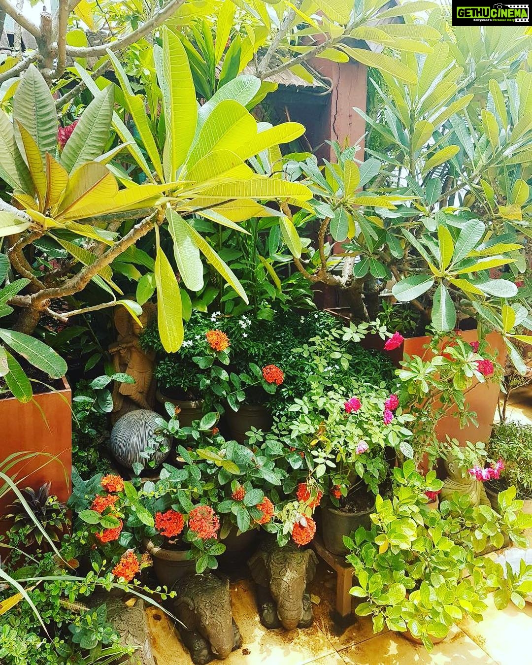 Kay Kay Menon Instagram - Nature is a great friend. Cultivate this friendship. #Happyfriendshipday!