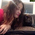 Kiran Rathod Instagram - #wet#pet#hairgoals#pets#instapet#insta#love#life#peace#chumchum#angel#barfi#myjaan#mylove#happymood#instamood#ganpati#ganpatibappa#ganeshchaturthi#celebration#kiki