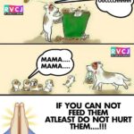 Kiran Rathod Instagram - Please don’t hurt these Angels who love unconditionally ... pls be human use your senses n feel their pain .. since I have been in jaipur for while i have seen d worst condition of dogs here ... no one feeds them it seems .. I could see their bones.. badly shrank body.. ... I feed my stray dogs each day .. it takes. Few packets of biscuits to buy n feed .. n they wait for me now ❤️😊.. pls I request u all here to feed your strays .. at least one dog (or many ) a day🙏🏻🙏🏻🙏🏻🙏🏻 n pls DO NOT HURT THEM 😥humble request#straydog #straydogs#dogs#angels#love#unconditionallove#animallover#rescuedog#feeddog#dogs_of_instagram#theoneyoufeed#🐼🐻🐶❤️❤️❤️