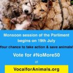 Kiran Rathod Instagram - Guys please go to Vocalforanimals.org and the send the mail .. The mail will go directly to our Prime Minister.. 🙏 #nomore50