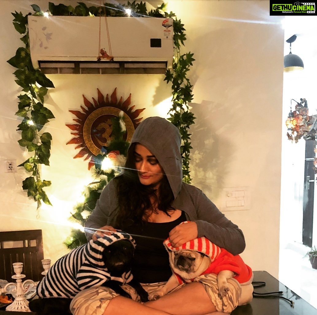Kiran Rathod Instagram - Mere Do Anmol Ratan #barfi#angel#lifelines#love#pug#pugsofinstagram#pet#dog#dogsofinstagram#motherofpugs#