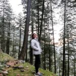 Laila Mehdin Instagram - 𝖂іᥣძ ᥣіkᥱ 𝗍һᥱ ᥕіᥒძ іᥒ 𝗍һᥱ 𝗍ᥲᥣᥣ ⍴іᥒᥱ 𝗍rᥱᥱs, 𝕴'᥎ᥱ g᥆𝗍 r᥆᥆𝗍s ᥲᥒძ 𝕴'᥎ᥱ g᥆𝗍 ᥕіᥒgs -𝕸іrᥲᥒძᥲ 𝕷ᥲmᑲᥱr𝗍 #tamilactors #familytime #holiday #tirthanvalley #himachal #pineforest #tamilponnu❤ Tirthan Valley