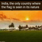 Laila Mehdin Instagram - Happy Independence Day, everyone! Mumbai, Maharashtra