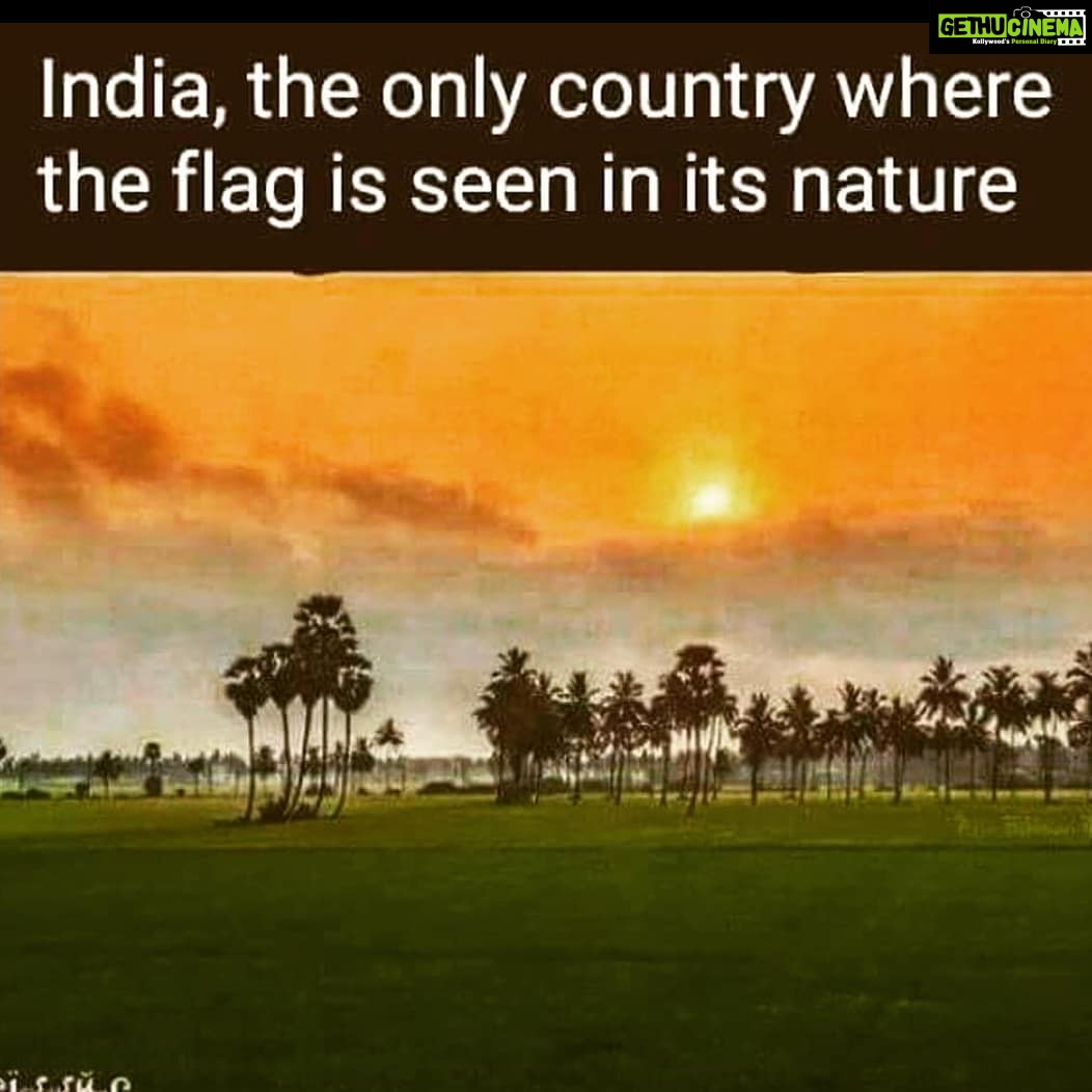 Laila Mehdin Instagram - Happy Independence Day, everyone! Mumbai, Maharashtra