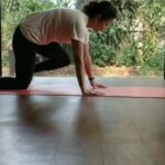 Laila Mehdin Instagram - Happy International Yoga Day everyone! Wishing you all the peace of yoga today 🙏 I love doing yoga. Who else practices yoga? #yoga #internationalyogaday #tamilactress #tamilnadu