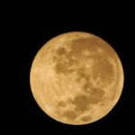 Laila Mehdin Instagram - Happy Moon Day! Last full moon of 2020! I hope you saw it last night. Looking forward to a new year #fullmoon #lastfullmoon2020 #peace #lastnight #lastdayof2020