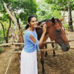 Lakshmi Priyaa Chandramouli Instagram - What a beautiful creature this animal is. So majestic, so graceful, so beautiful! Im talking about the horse, not me! I ain't that narcissistic! 😂 #horse #TheFarm #connectingwithanimals #grace #beauty The Farm