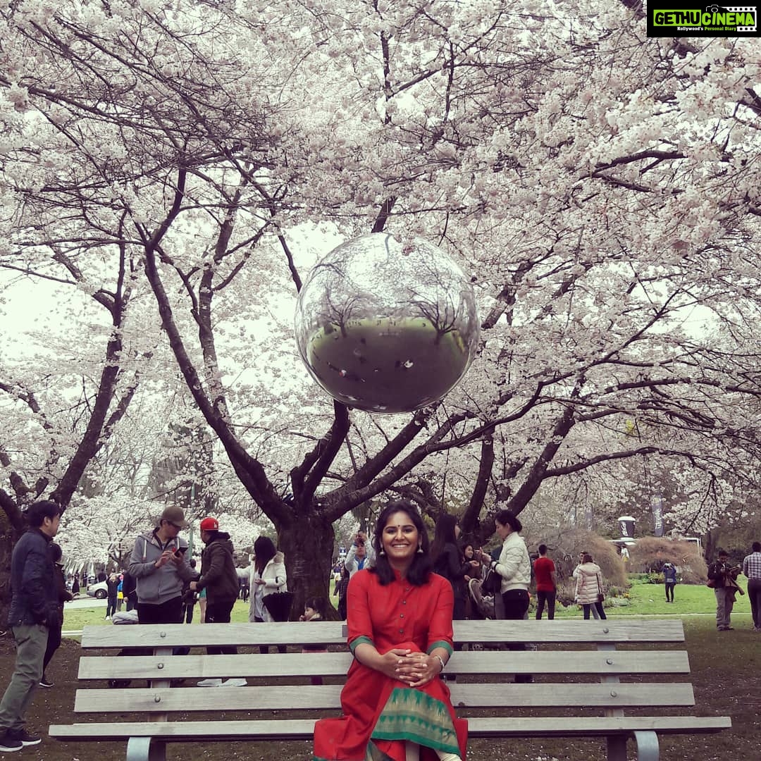 Lakshmi Priyaa Chandramouli Instagram - When it's spring time and cherry blossom festival but its also Tamil New Years! #traditional #jimikkikammal #sakura🌸 #vancouvercherryblossomfestival #suchhappyfaces #sobeautiful #suchalovelyday #cantgetenough #canada🍁 #vancouverwhyyoubesobeautiful Queen Elizabeth Park, British Columbia