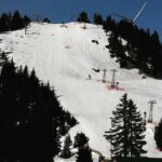 Lakshmi Priyaa Chandramouli Instagram - And that's what I call a great day!!!!! 😀 #amihappyoramihappy #traveltheworld #grousemountain #sledge #sleigh #beautifulspringday #beautifulbritishcolumbia #canada🍁 #snoweverywhere #ibecamealittlegirlagain #joy #thankyouuniverse #dontputkannuplease Grouse Mountain-The Peak of Vancouver