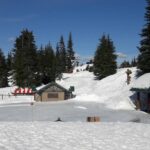 Lakshmi Priyaa Chandramouli Instagram - And that's what I call a great day!!!!! 😀 #amihappyoramihappy #traveltheworld #grousemountain #sledge #sleigh #beautifulspringday #beautifulbritishcolumbia #canada🍁 #snoweverywhere #ibecamealittlegirlagain #joy #thankyouuniverse #dontputkannuplease Grouse Mountain-The Peak of Vancouver