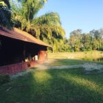 Lakshmi Priyaa Chandramouli Instagram - Missing this place already! @thenomadsranch ❤️ #nomadsranch #myhappyplace #peace #thisplaceisalittlepieceofheaven #coorg #youcanonlycheckoutyoucantleave The Nomad's Ranch
