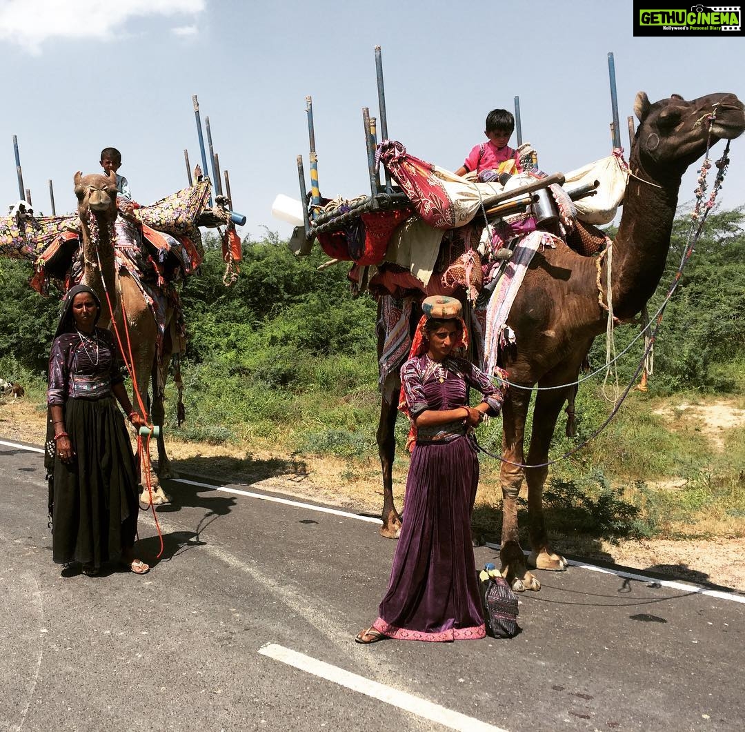 Lakshmi Priyaa Chandramouli Instagram - If only shifting houses was this easy for us in the city too!! Incredible India indeed! #incredibleindia #lookthereisacotontopofthecamel #whencamelsaremovers #prettywomen #colourfulgujarat #rannofkutch White Rann