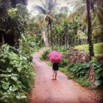 Lakshmi Priyaa Chandramouli Instagram - Nothing says Kerala more than long mud roads, coconut trees, umbrellas and rain! :) #Wayanad #roadtripping #myredumbrella #monsoontrips #keralayoubeauty #godsowncountry #loverains Meenmutty Waterfalls Wayanad