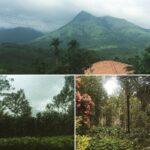Lakshmi Priyaa Chandramouli Instagram - Kerala, as is, is a beautiful place.. Kerala during monsoon is just so so gorgeous, it makes you feel all kinds of fuzzy :) #Wayanad #trulygodsowncountry #monsoontrips #roadtripping #loverains #besttravelcompany #bringonthekattanchaya #keralayoubeauty Wayanad, India