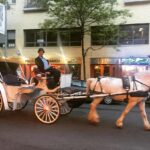 Lakshmi Priyaa Chandramouli Instagram - Things you see on New York Streets Series. #horsecarriage #happyman #picno1 #thiscityiscrazy #i❤️ny #thingsyouseeonnycstreets Manhattan, New York