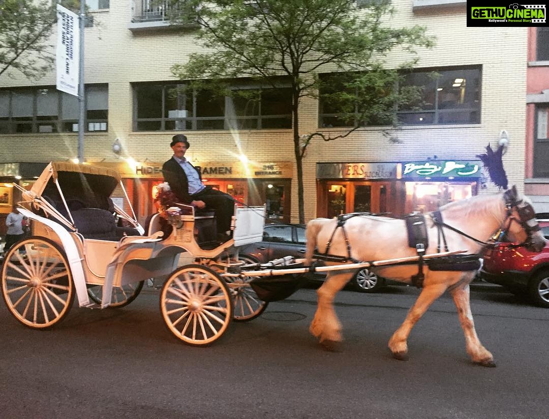 Lakshmi Priyaa Chandramouli Instagram - Things you see on New York Streets Series. #horsecarriage #happyman #picno1 #thiscityiscrazy #i❤️ny #thingsyouseeonnycstreets Manhattan, New York
