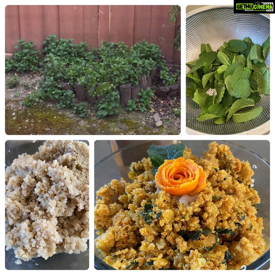 Lakshmy Ramakrishnan Instagram - Made #PudinaRice with left over quinoa and Pudina from backyard❤️