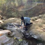 Lakshmy Ramakrishnan Instagram - #Masinagudi - Nature trail❤️