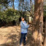 Lakshmy Ramakrishnan Instagram - #Masinagudi - Nature trail❤️