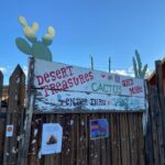 Lakshmy Ramakrishnan Instagram – #joshuatreenationalpark has so much of history, history of Native people, and a very unique, cowboy town❤️ structures are so cute, people are friendly and warm, What a beautiful place, every moment it was a different sight, acres of untampered land, land that speaks to you!!!