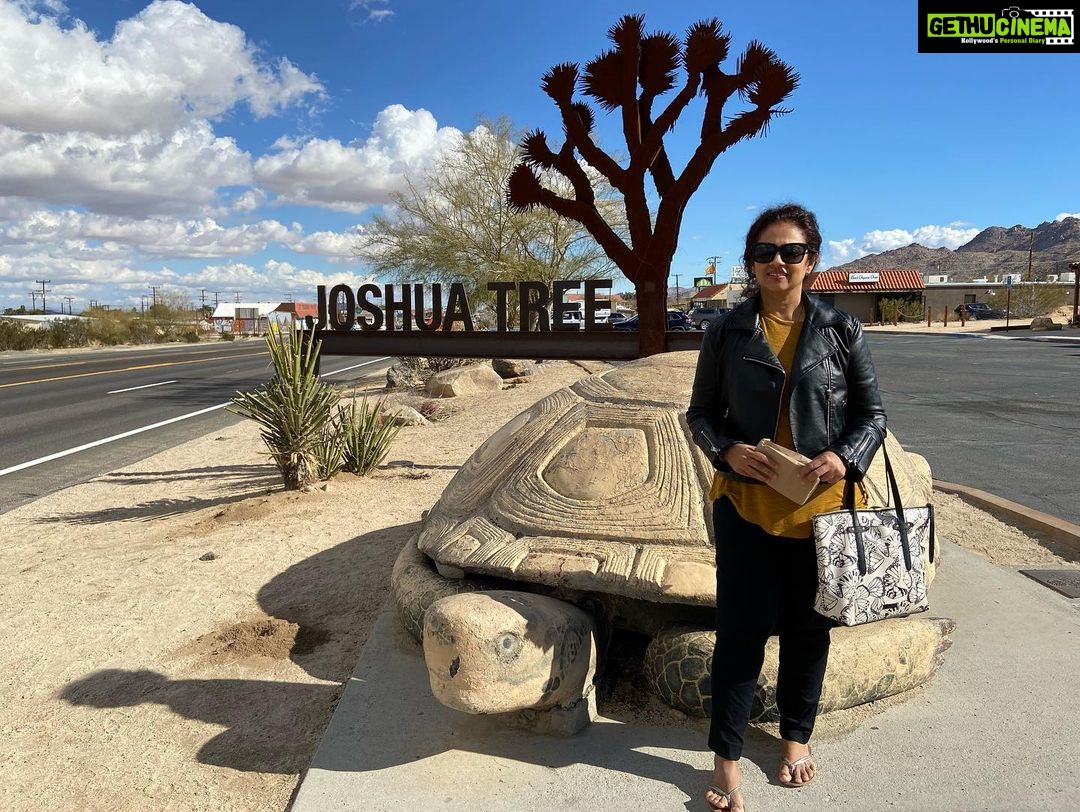 Lakshmy Ramakrishnan Instagram - #joshuatreenationalpark has so much of history, history of Native people, and a very unique, cowboy town❤️ structures are so cute, people are friendly and warm, What a beautiful place, every moment it was a different sight, acres of untampered land, land that speaks to you!!!