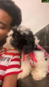 Ma Ka Pa Anand Instagram - Sollamatean #puppy
