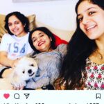 Madhoo Instagram - #ilovemypetday❤️ I love u my baby boy Boo 👻❤️