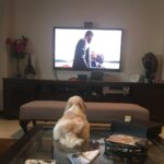 Madhoo Instagram – Boo and jack Ryan