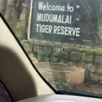 Madhoo Instagram -