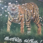 Madhoo Instagram -