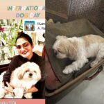 Madhoo Instagram - My baby boy boo ! Wish I could put him inside the suitcase and travel with him everywhere… #internationaldogsday 💜💜💜💜💜💜