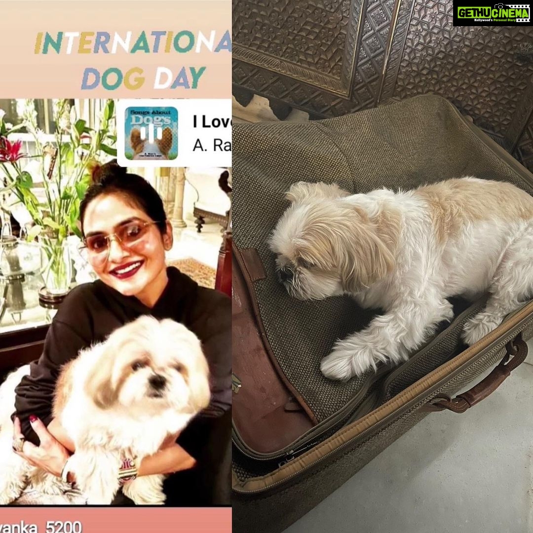 Madhoo Instagram - My baby boy boo ! Wish I could put him inside the suitcase and travel with him everywhereβ¦ #internationaldogsday ππππππ