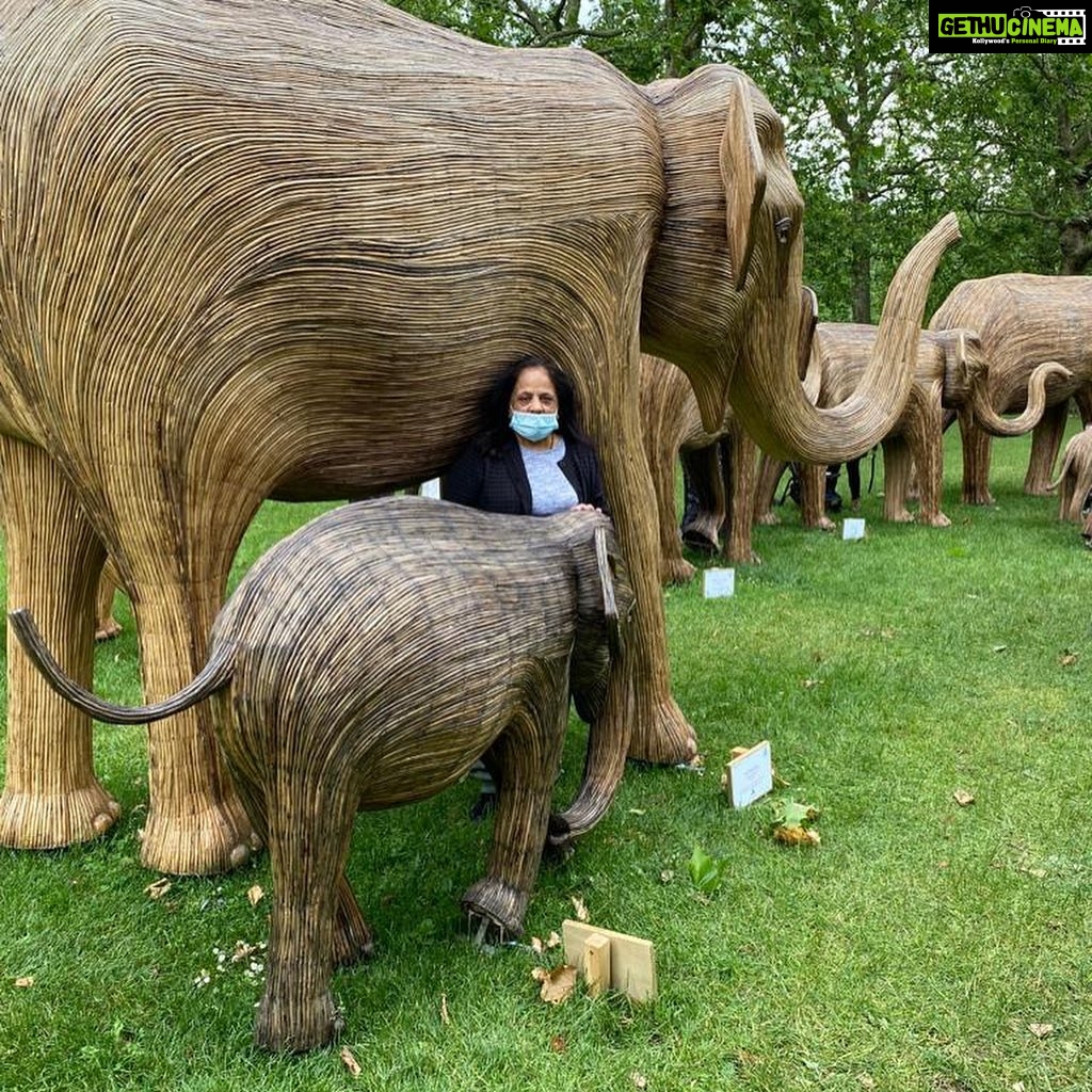 Madhoo Instagram - Mom & dad enjoying in the elephant land #greenpark πππmiss u my london