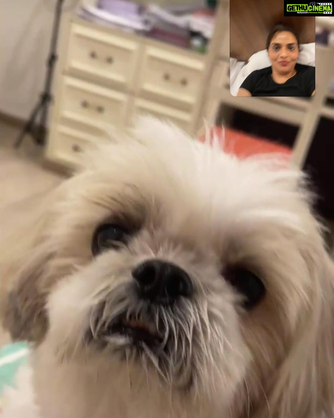 Madhoo Instagram - On Watsap video with my 4legged son 😜😍
