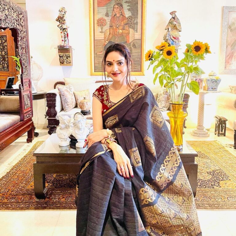 Madhoo Instagram - Thank you for my #beautifulsarees @zariculture 💜💜💜