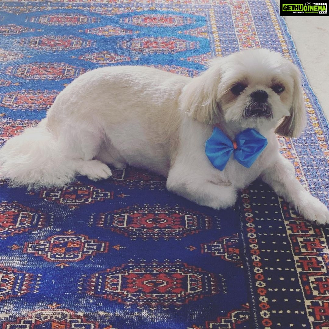 Madhoo Instagram - My handsome Mr boo shah 💜💜💜
