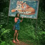 Madhumila Instagram - Live and let live!🐯 ✌️💕 #savetigers #forest #coorgdiaries❤️#trekking #mathumila Irupu Falls
