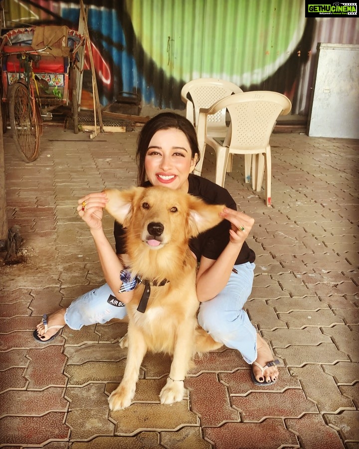 Madhuurima Instagram - My #veer my #pup #puppy #puppiesofinstagram #puppylove #puppylife #puppyoftheday #teddybear #actor #actorslife #shooting @starbharat @disneyplushotstar #andolan #nyrabanerjee
