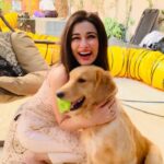 Madhuurima Instagram - How are animals such stress busters , they are love , purity and innocence . Love my #andolan #excusememadam @starbharat #dog #puppy #puppylove #puppylife #puppiesofinstagram #puppygram #bts #animal #animallovers #goldenretriever #nyrabanerjee #instagram #instagood #instagood #instadaily #instadog #explorepage #explore