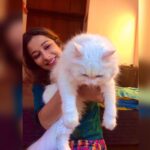 Madhuurima Instagram - Monroe the beauty ❤️ @shazzalamphotography I’m missing her !!! #cat #instacats #catsofinstagram #lovecats #persiancat #pet #petsofinstagram #petstagram #picoftheday ❤️ #love #monroe #loveislove #loveyou #loveyourself #lover #white #divinefeminine #beauty #beautyinfluencer #beautifulday #beautifulday #beautifull
