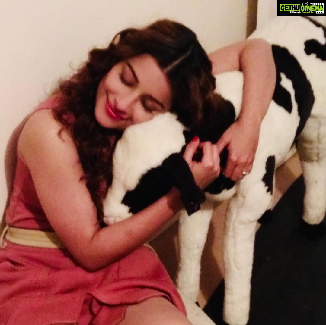 Madhuurima Instagram - Cuddling times ❤️❤️ #love #cuddles #cuddlebuddy #photography #photo #picoftheday #uk #diaries #london #londondays #shooting #indobritish #horror #misshugs #cuddleswithmommy #nighttimephotography #bollywood #pinkvilla #instantbollywood