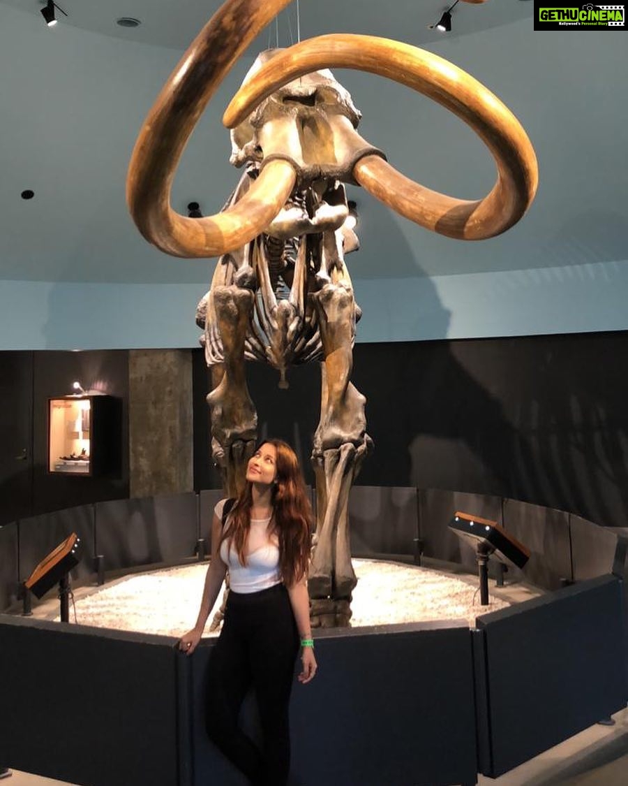 Madhuurima Instagram - Me and the Giant Mammoth! Tracing back the Ice-Age. @labreatarpits_museumstore @losangeles_city #usa #friends #la #nyra #actor #california #travel #fun #work #photooftheday #inlovewithme #cute #gratitude