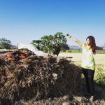 Madhuurima Instagram - Cabbage ke khet mei... haha . Sula .. #organicfarm #morningstroll #freshair #sunkissed #sunkissedhair