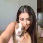 Madhuurima Instagram – This cutie #puppy #puppies #puppylove #puppiesofinstagram #puppielove #puppygram #instagood #instadaily #instagramdogs #instapic #instamood #instalove #instagramers
