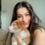 Madhuurima Instagram - Such a soft toy. Furball cutie😍😍😍🤗 #puppies #puppylove #puppy #cutiepie #animals #animallovers #baby #explore #pictureoftheday
