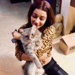 Madhuurima Instagram - Kha jau isko??? Khajau isko mei????? 🤪🤪🤪😃😃😃😍🥰 #ash #persian #persiancat #catsofinstagram #catlovers #catus #❤️ #💋 #explore #beauty #fun #petstagram #petlife #explore #cutie #funtimes #masti #nyrabanerjee @starplus #bollywood #celebrity #love #worli