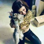 Madhuurima Instagram - Kha jau isko??? Khajau isko mei????? 🤪🤪🤪😃😃😃😍🥰 #ash #persian #persiancat #catsofinstagram #catlovers #catus #❤️ #💋 #explore #beauty #fun #petstagram #petlife #explore #cutie #funtimes #masti #nyrabanerjee @starplus #bollywood #celebrity #love #worli