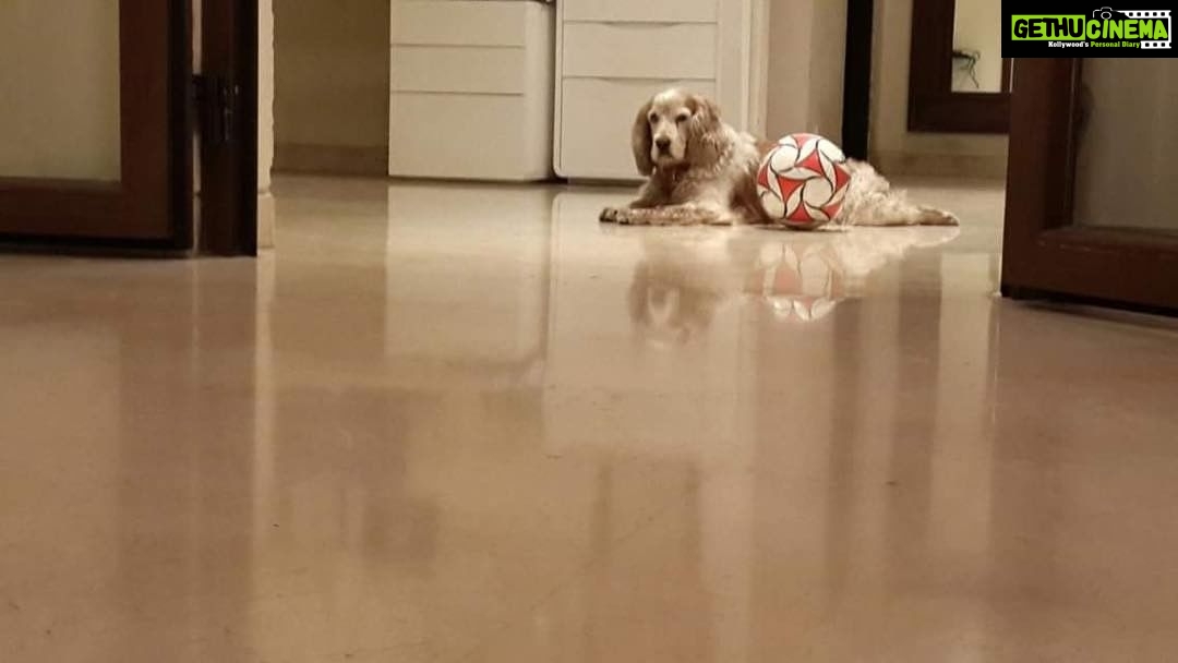 Mahima Chaudhry Instagram - Antonio ... love his attitude